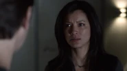 Callie und Kane