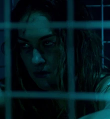 Echo in ihrem Käfig