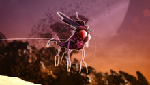 Bugs.png
