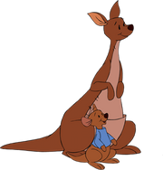 Kanga roo