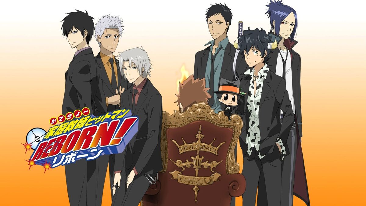 Vongola Decimo Guardians, Reborn Wiki, Fandom