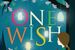 Have you read One Wish yet?