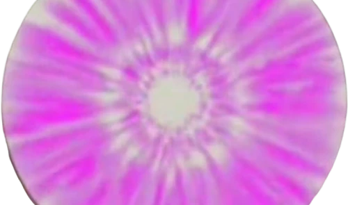 The 5D-Shared-Combined Crossovers • An The-Good/Evil-Hybrid Wiki