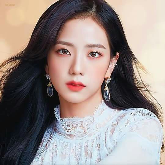 Jisoo, Jisoo Wiki