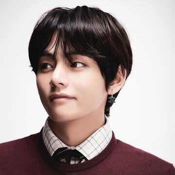 V | The KPOP House Wiki | Fandom