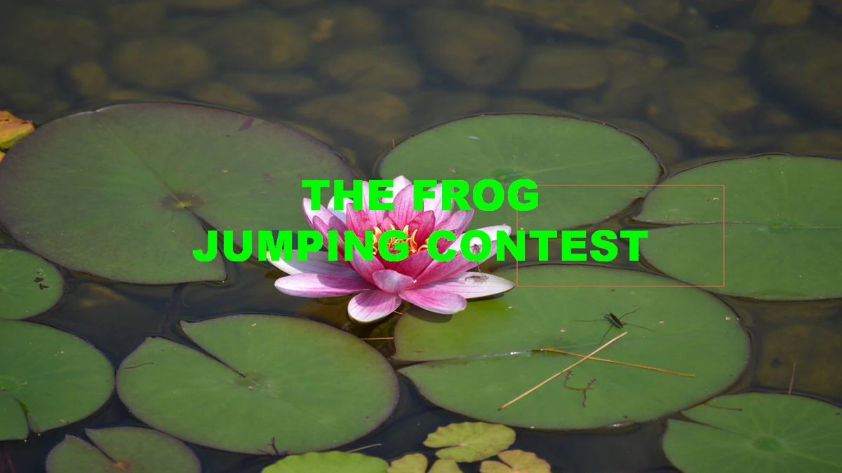 The Frog Jumping Contest | The Nick Jr. Extravaganza Wiki | Fandom