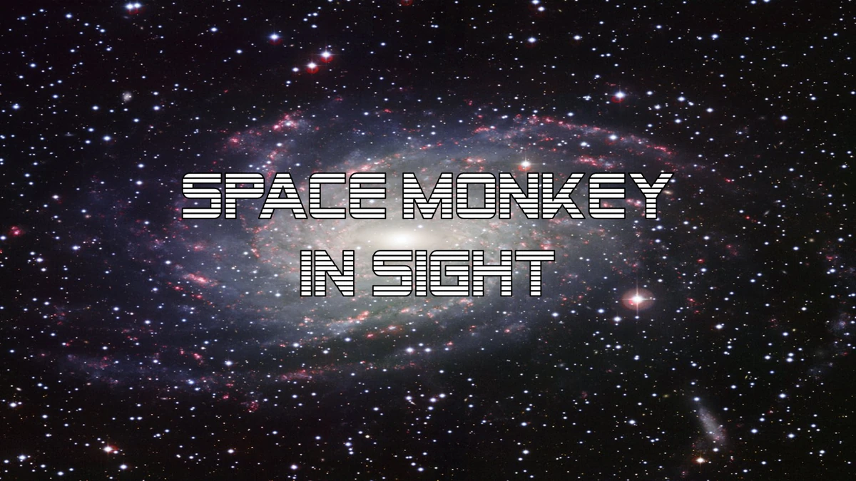Space Monkey In Sight | The Nick Jr. Extravaganza Wiki | Fandom