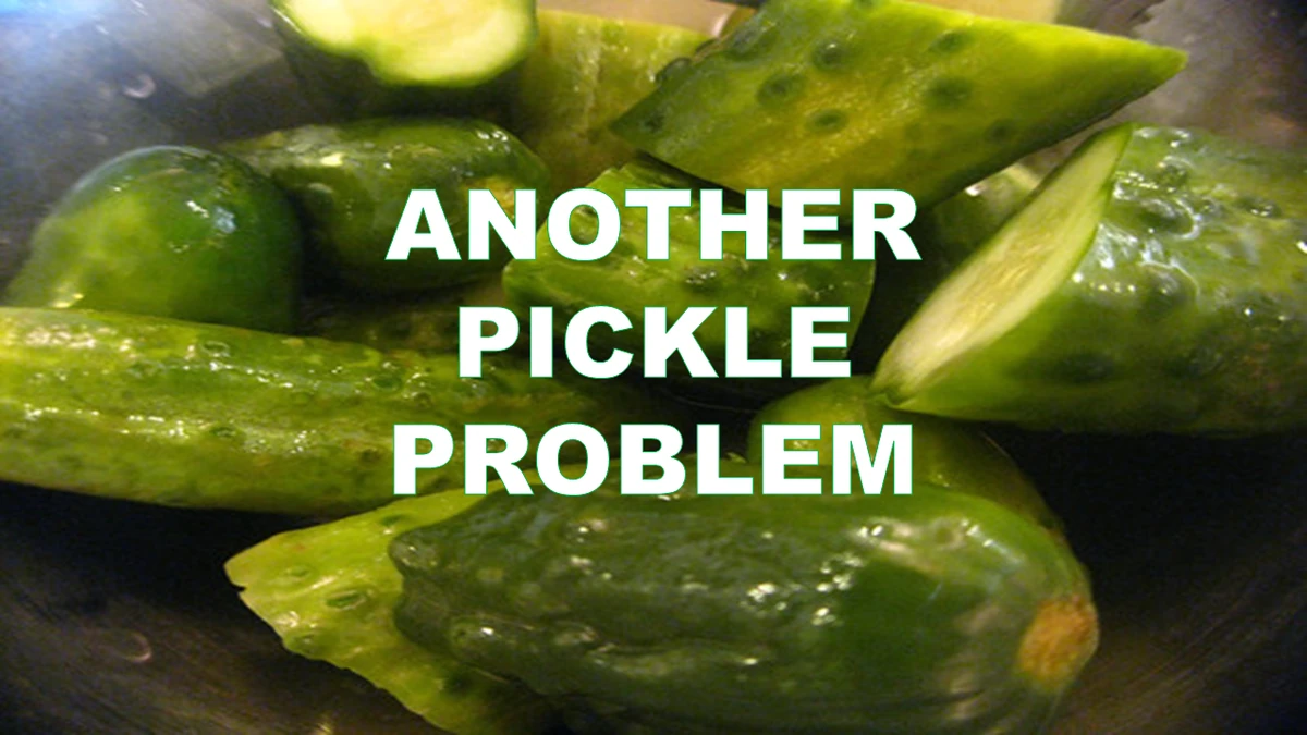Another Pickle Problem The Nick Jr. Extravaganza Wiki Fandom