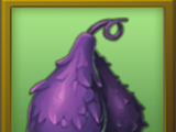 Cabbage Field