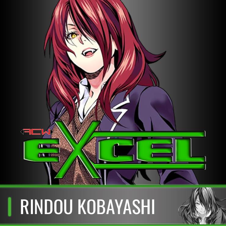 Na-Ga ART WORKS 竜胆～rindou～ 限定豪華装丁版- qwer4208的