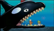Billy the Orca | THE ADVENTURES OF GARY THE SNAIL Wiki | Fandom