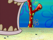 Sandy, SpongeBob, and the Worm 185