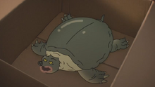 6fd8609648d7313fcd7d32c2bd41f647.png