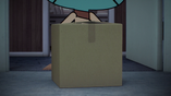 BoxSeason5.png