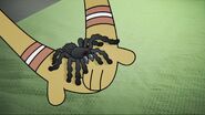 Penny holds a spider