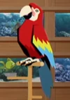 Parrot