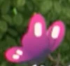 StinkButterfly