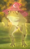 Magicfrog