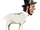 Abraham Lincoln goat