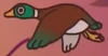 Duck 2