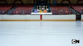 IceRink