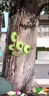 TreeKiss