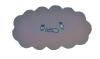AnaisBrainTransparent