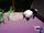How to Ratatwang Your Panda