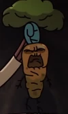 Mandrake