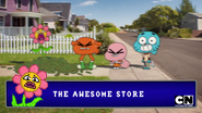 THE AWESOME STORE