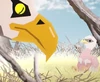 Eagchi