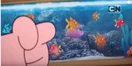 Pet Fishes