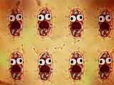 Rise of the Bacteria