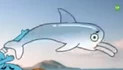 Dolphin