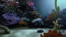 TheSecret UnderwaterDream 2