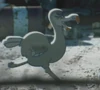 Dodo