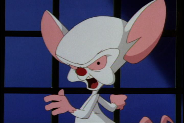 Pinky Giving Brain