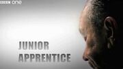 Junior Apprentice logo