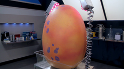 Egg02