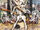 Dead Bands Party: A Tribute To Oingo Boingo