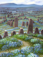 Tundra graveyard
