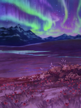 Tundra aurora