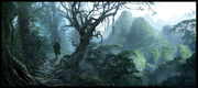 Jungle por Raphael Lacoste