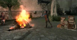 AC2Bonfire