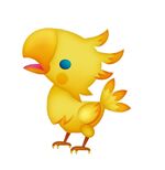 Chocobo.jpg