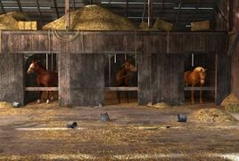Horses 2