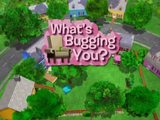 What's Bugging You?