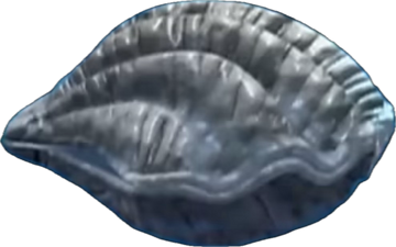 The hotsell giant clam
