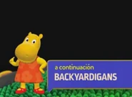 Banner on Discovery Kids