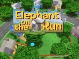Elephant on the Run
